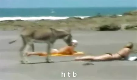 پستان بزرگ با کانال تلگرام شهوتسرا یک فرد بزرگسال.
