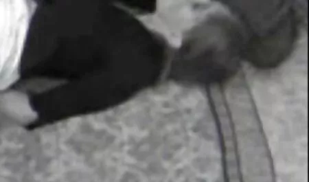 ممنون که کمکم لینک شهوانی کردي ماشين رو درست کنم