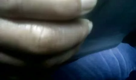 برو به جهنم همسایه جدید. کانال شهوانی در تلگرام