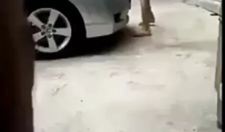 ماساژ رابطه جنسی با به طور منظم. کانال تلگرام شهوتسرا