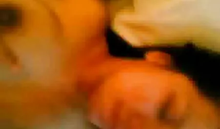 راننده تراشه در کانال تلگرام شهوتسرا گربه مسافر.